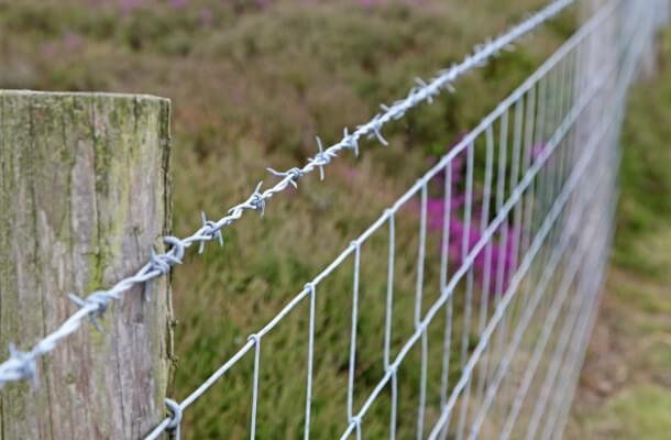 Barbed Wire Fence in Boulder, Colorado