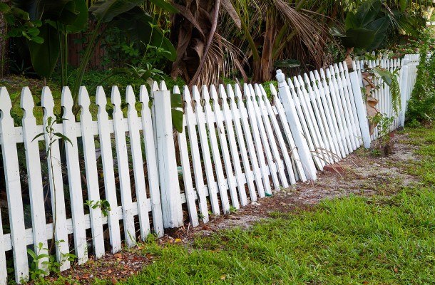 Fence Replacements in Boulder, Colorado